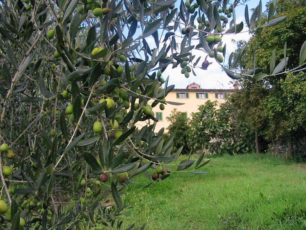 Hotel Relais Palazzo Di Luglio Sansepolcro Exterior foto